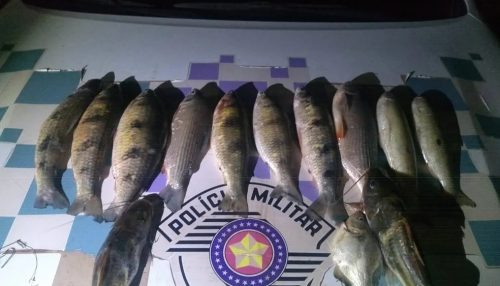 Polícia Ambiental multa homem em R$ 1,1 mil por pesca predatória no Rio Aguapeí, em Adamantina