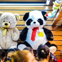 WhatsApp Image 2022 12 15 At 16.17.03 (3)