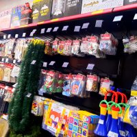 WhatsApp Image 2022 12 15 At 16.33.32 (1)