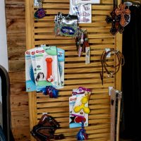 WhatsApp Image 2022 12 22 At 10.35.51(2)