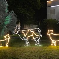 WhatsApp Image 2022 12 23 At 14.06.21(1)