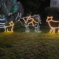 WhatsApp Image 2022 12 23 At 14.06.21(2)