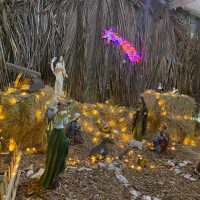 WhatsApp Image 2022 12 23 At 14.06.22(4)