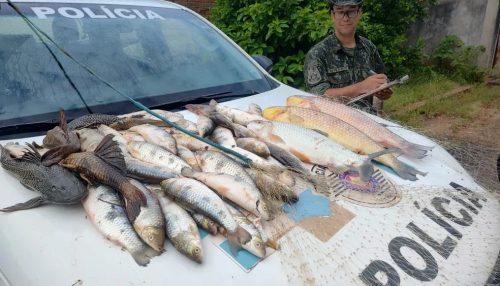 Pescadores são multados em R$ 6,2 mil por pesca predatória durante período de Piracema, em Lucélia