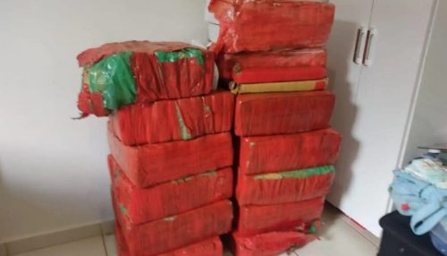 Polícia Civil descobre depósito de maconha em casa desabitada e apreende quase 250kg da droga em Osvaldo Cruz