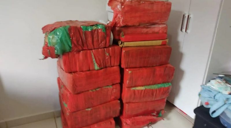 Polícia Civil descobre depósito de maconha em casa desabitada e apreende quase 250kg da droga em Osvaldo Cruz
