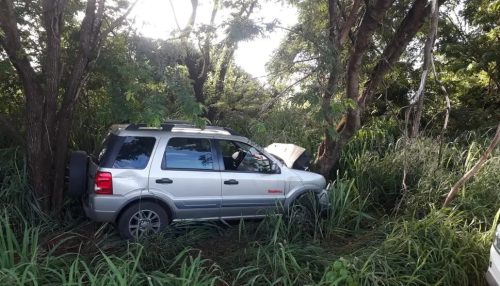 Motorista perde o controle da direção de carro, bate em árvore e morre após acidente na Rodovia da Integração