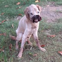 Photo20221227142049jpg167233240663adc476598f0