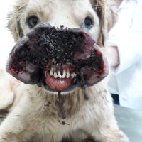 Whatsapp Image 20221227 At 142049 1jpg167233242263adc486a8d3a