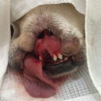 Whatsapp Image 20221227 At 142049 2jpg167233249563adc4cff384b