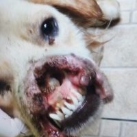 Whatsapp Image 20221227 At 142050jpg167233251363adc4e1dac91