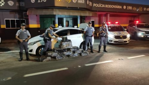 TOR apreende mais de 200kg de maconha em Tupã