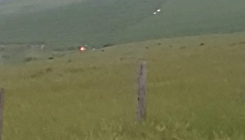 Piloto morre após queda de avião agrícola entre Mirante do Paranapanema e Teodoro Sampaio