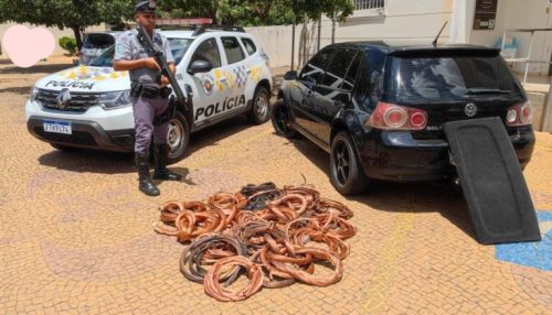 Casal é preso com 300kg de cobre furtados de Usina