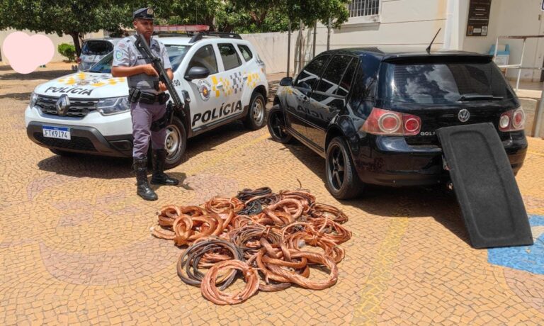 Casal é preso com 300kg de cobre furtados de Usina