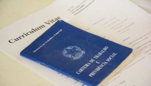 Ano novo, emprego novo; confira 7 dicas para montar um currículo
