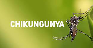 Caso de “Chikungunya” é confirmado em Adamantina pela Vigilância Epidemiológica