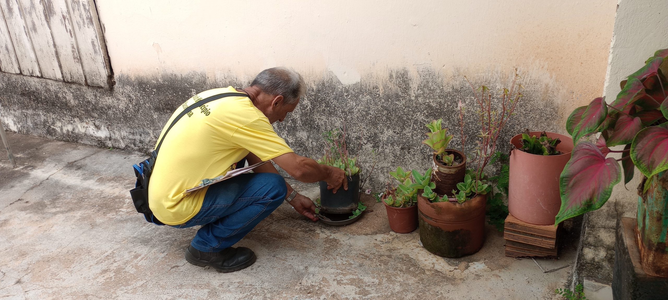 Prefeitura de Adamantina inicia realização da Avaliação de Densidade Larvária (ADL)