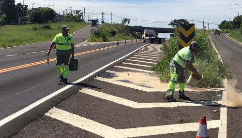 Homem decapitado é encontrado na Rodovia Júlio Budiski, em Presidente Prudente