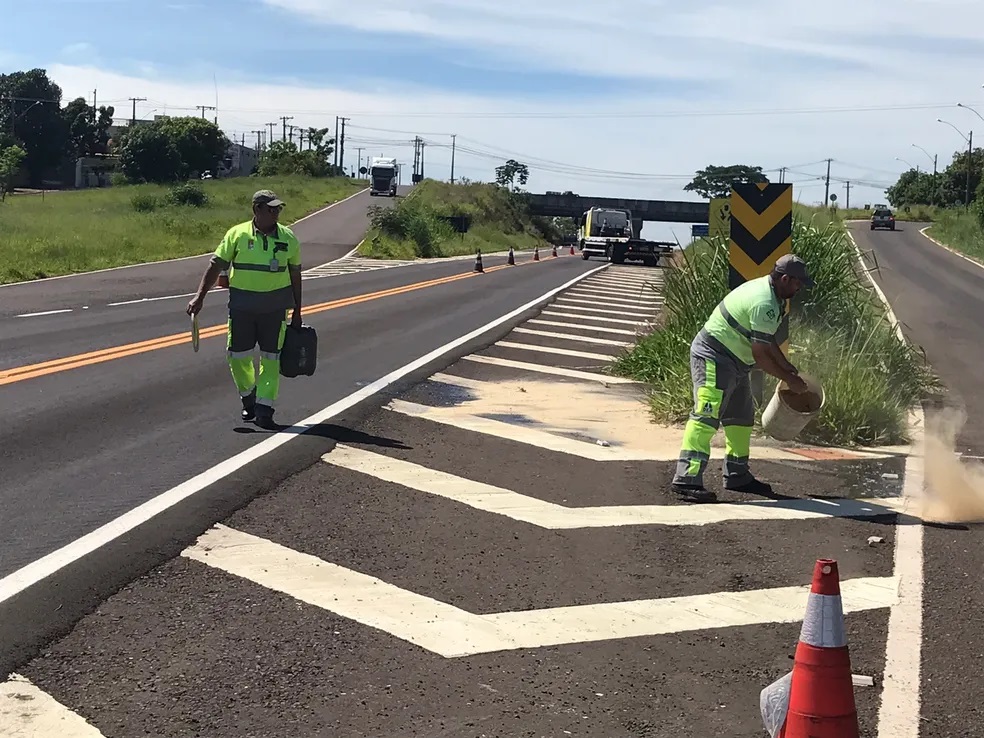 Homem decapitado é encontrado na Rodovia Júlio Budiski, em Presidente Prudente