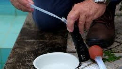 Aedes Aegypti: Avaliação de Densidade Larvária e Índice Predial em Adamantina é de 1,34