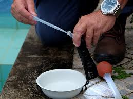 Aedes Aegypti: Avaliação de Densidade Larvária e Índice Predial em Adamantina é de 1,34