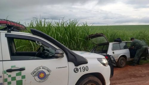 Em fiscalização na piracema, Polícia Ambiental apreende mais de 70kg de peixes no Salto Botelho, em Lucélia