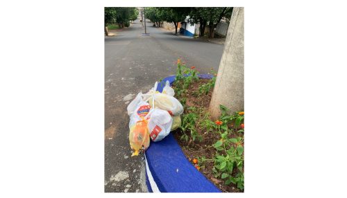 Prefeitura de Adamantina pede colaboração da população na manutenção dos canteiros