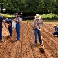 Campo Agrotecnológico UniFAI (16)
