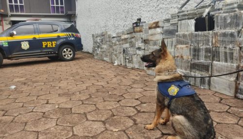 PRF faz a maior apreensão única de cocaína da sua história