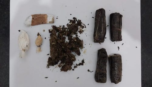 Visitantes tentam entrar em penitenciárias com entorpecentes escondidos na região íntima e placas de aparelho celular