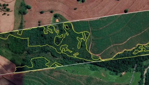 Satélite identifica desmatamento de 9 hectares para o plantio de soja e fazendeiro acaba multado em mais de R$ 50 mil