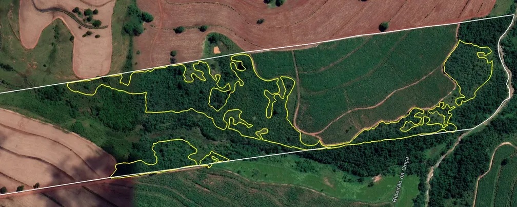 Satélite identifica desmatamento de 9 hectares para o plantio de soja e fazendeiro acaba multado em mais de R$ 50 mil