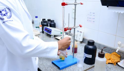 Cursos de Agronomia e Farmácia desenvolvem projetos na Área Experimental de Fitotecnia