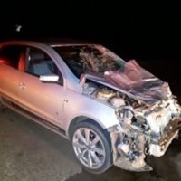 Acidente Com Bois Dracena Cortada 600x445