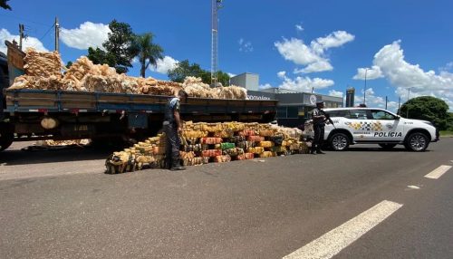 Fiscalização apreende mais de 1 tonelada de maconha transportada em meio a materiais recicláveis na Rodovia da Integração