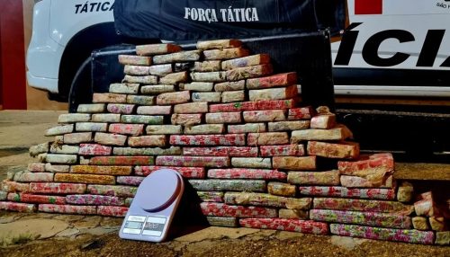 Polícia Militar apreende quase 44 quilos de maconha em Pacaembu; um homem foi preso