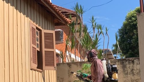 Adamantina confirma mais de 1300 casos de dengue