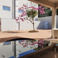 121152720_2689817244611133_4532579036804158856_n