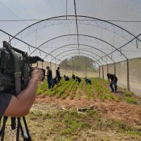 Entrevista TV Fronteira 13 04_Área Experimental De Fitotecnia (13)