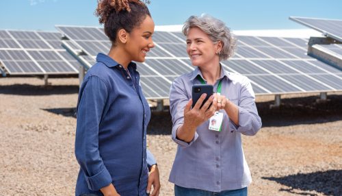 Sicredi concede R$ 34,2 bilhões à economia verde em 2022