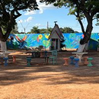 C6dc391e 654b 4a62 A5e6 67d6218fed4b