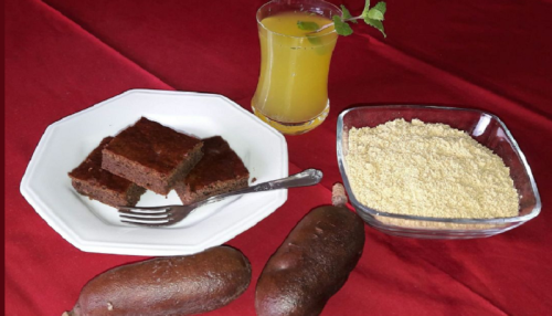 Inovações com frutos nativos e diversidade de saberes marcam a 1ª Feira de Jatobá e Produtos Regionais Latitude 21