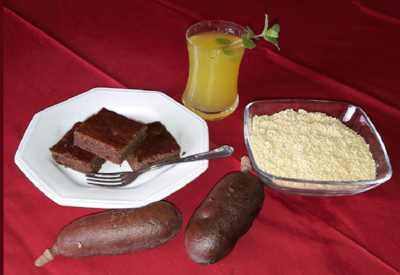 Inovações com frutos nativos e diversidade de saberes marcam a 1ª Feira de Jatobá e Produtos Regionais Latitude 21