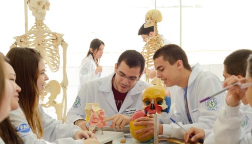 Por unanimidade, CEE-SP aprova renovação do reconhecimento do curso de Medicina pelo prazo máximo de cinco anos