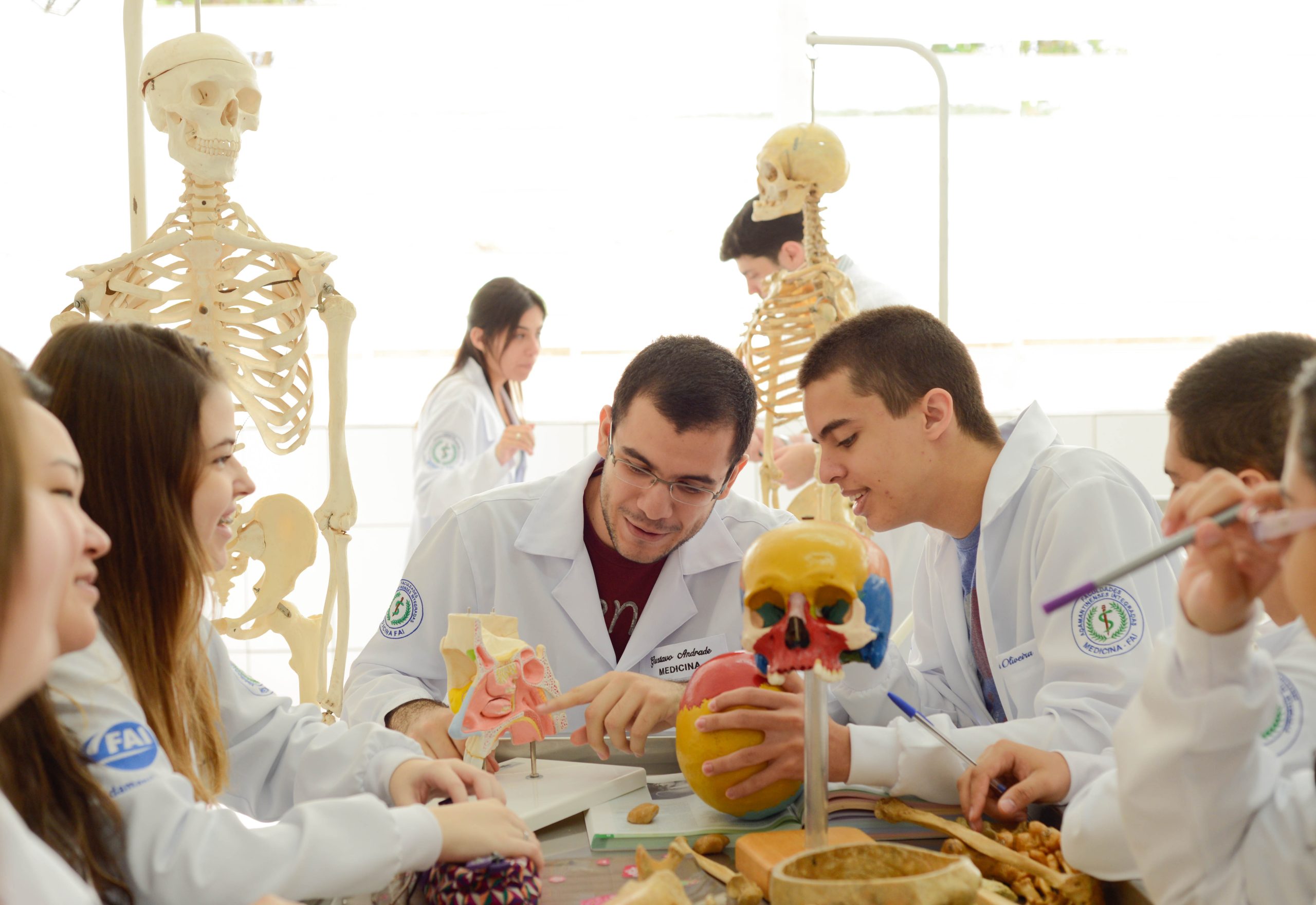 Por unanimidade, CEE-SP aprova renovação do reconhecimento do curso de Medicina pelo prazo máximo de cinco anos