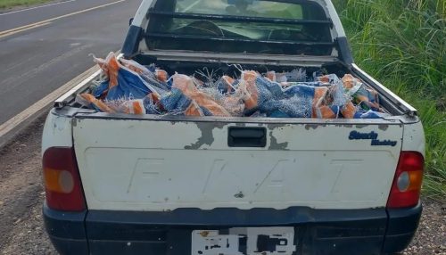 Caminhão carregado de milho tomba na pista e motoristas acabam presos por furto de carga