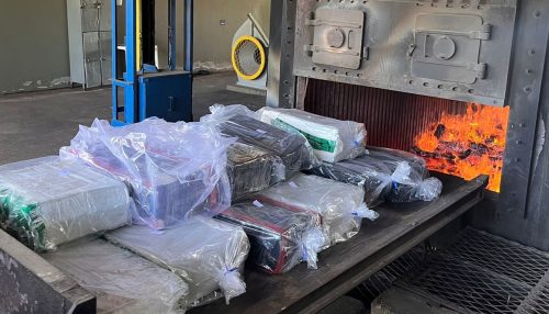 Policia Civil de Inúbia Paulista incinera drogas