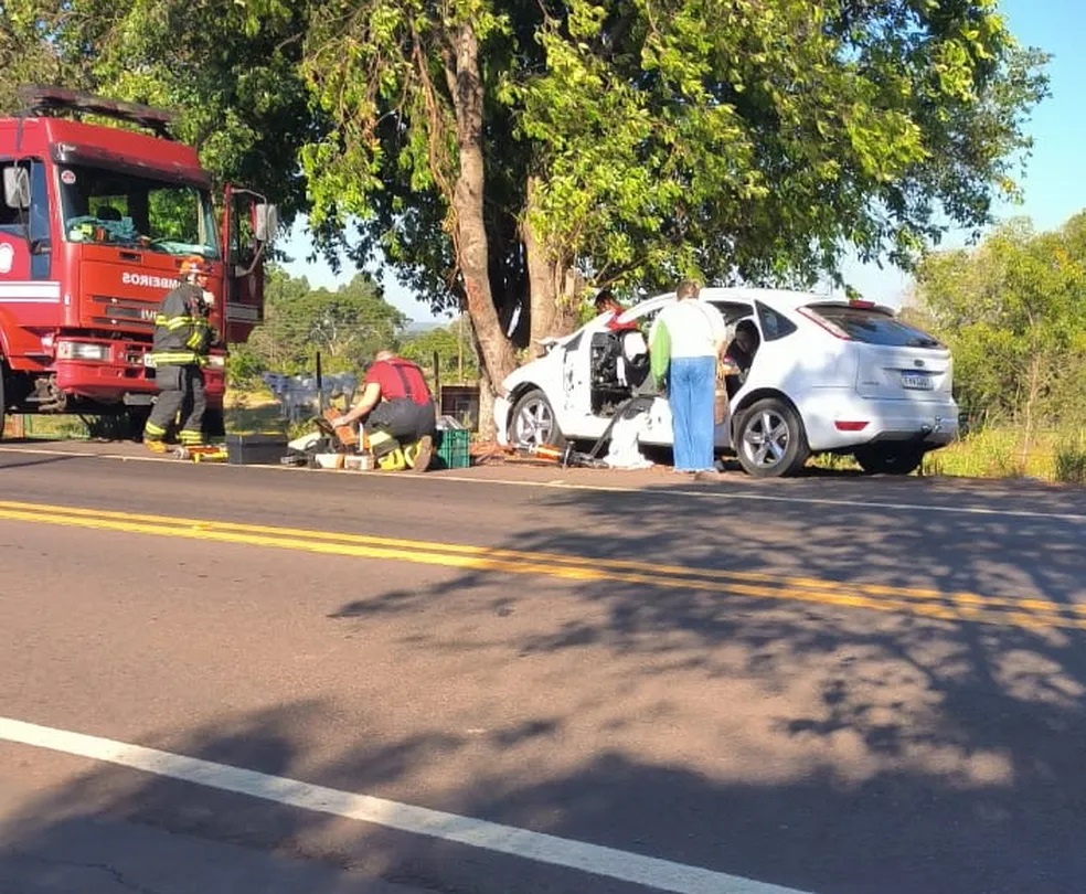 Casal de Adamantina, fica ferido após carro bater em árvore na Rodovia Júlio Budiski