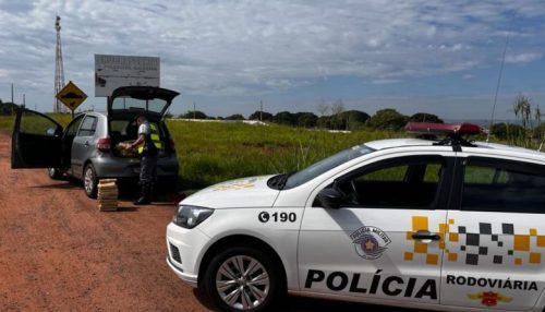 Motorista é flagrado com 151 tabletes de maconha no porta-malas de carro e acaba preso